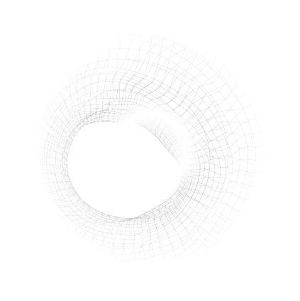 Black and white wireframe illustration of a toroidal structure with complex interconnecting mesh patterns.
