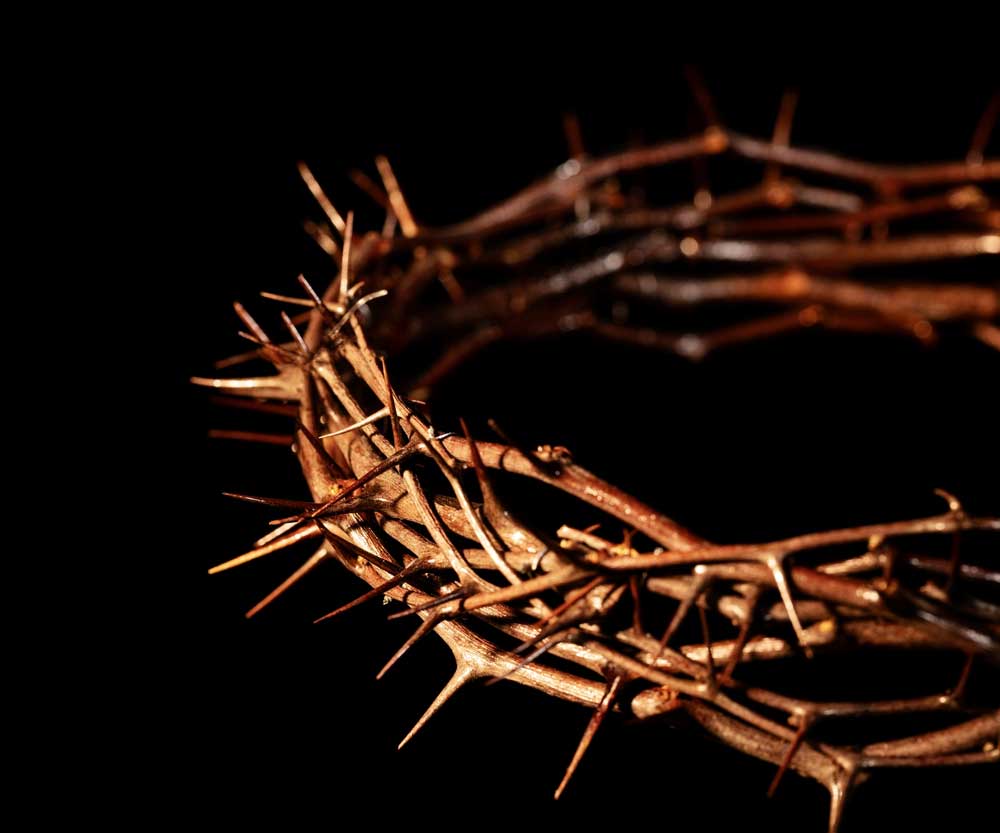a crown made from wood with sharp pointers laid in a dark black background on the ground
